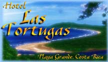The Hotel Las Tortugas is a small and intimate hotel located on Playa Grande in Costa Rica with pristine white sand beach of Playa Grande and a national wildlife refuge.