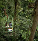 Rain Forest Tram in Braulio Carillo National Park