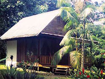 rainforest accommodation