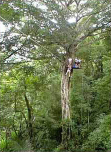 The Original Canopy Tour in Costa Rica