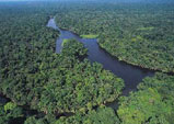 Tortuguero Canals and National Park, Costa Rica