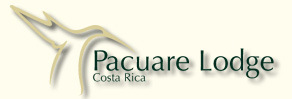 Pacuare Eco Lodge is only accessible rafting or hiking...