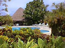 The pool area at the Hotel Las Tortugas, Playa Grande, Costa Rica
