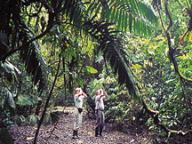 Hiking in the jungle at Golfo Dulce Lodge private reserve