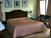 Tabacon Resort - Standard Room